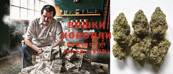 мдпв Лабытнанги