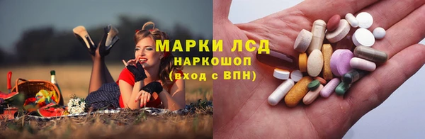 скорость Ладушкин