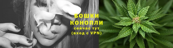 скорость Ладушкин