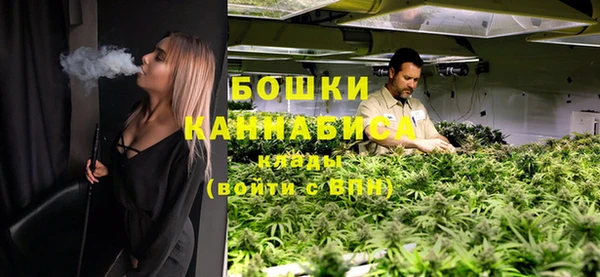 мдпв Лабытнанги