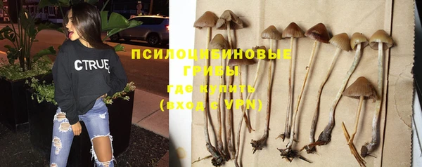 мдпв Лабытнанги