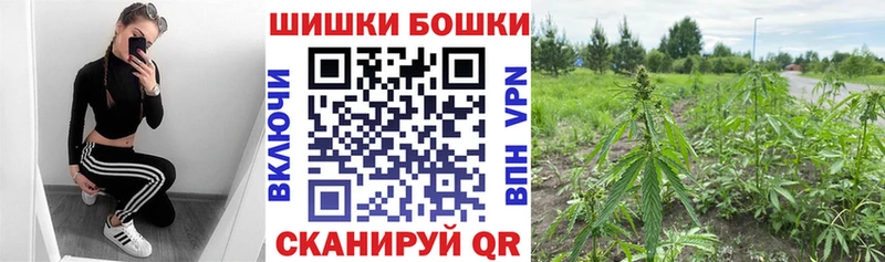 Купить закладки  Подпорожье  Бошки Шишки семена 